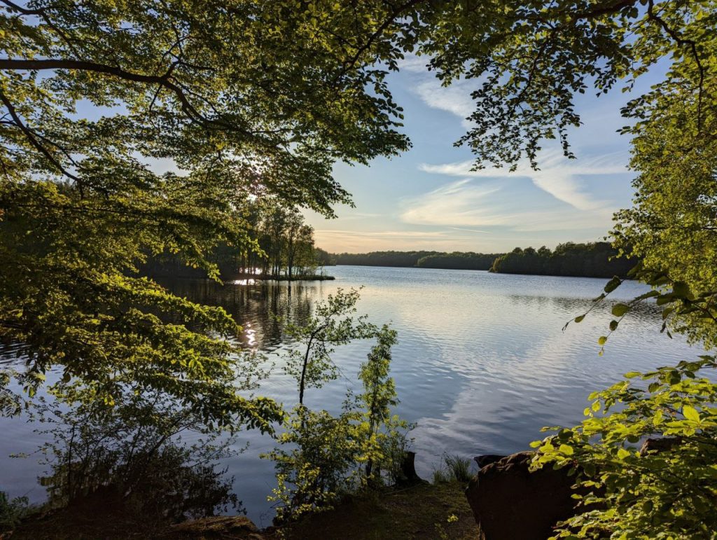 a sunset overlooking a lake, surrounded by trees