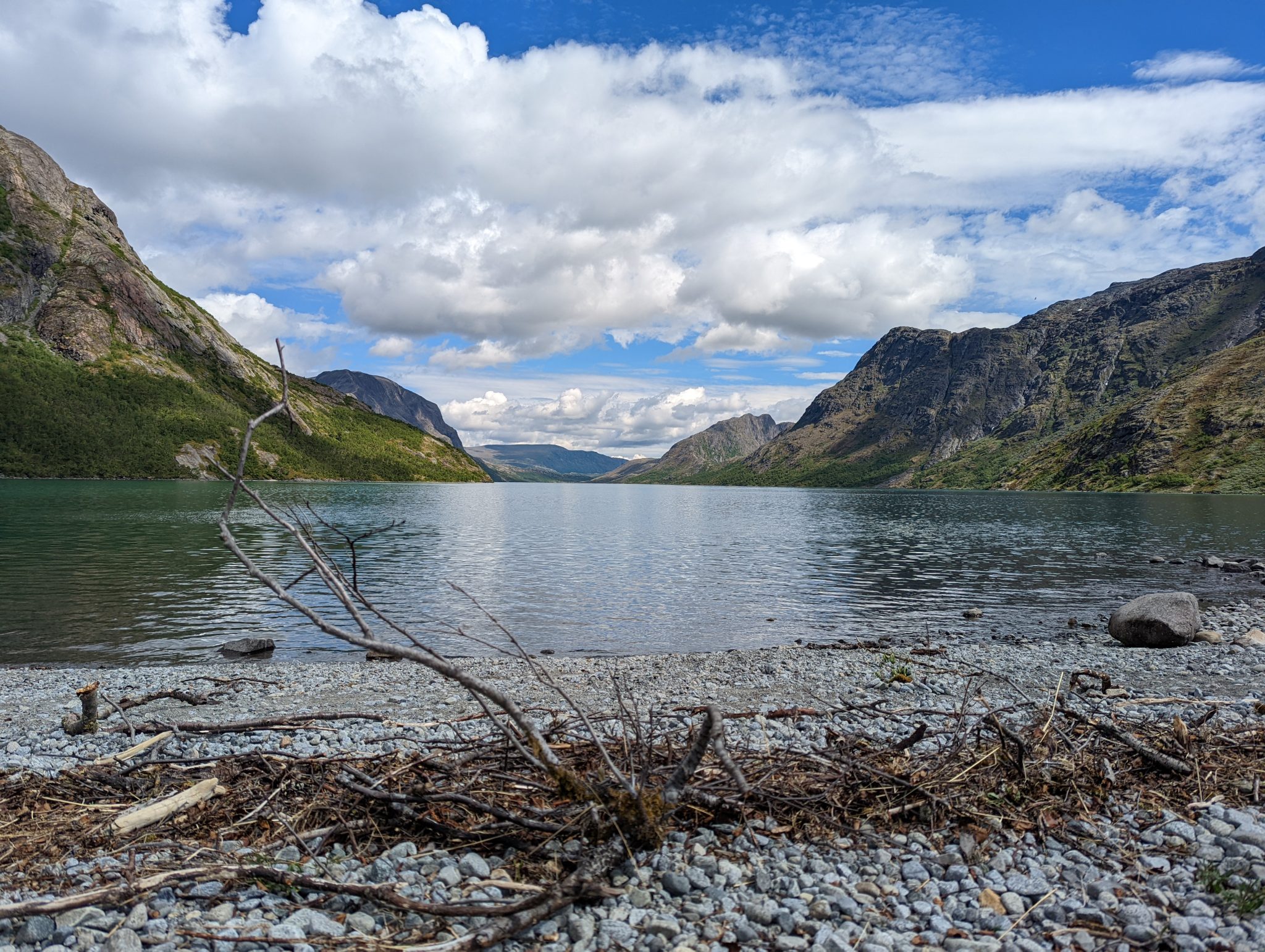 Overlooking the fjord from a pebble beach